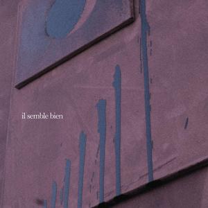 Il Semble Bien