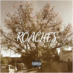 ROACHES (feat. Shackleton)