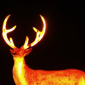 世界上的另一个我