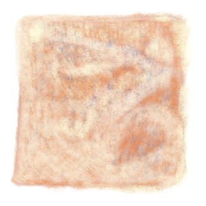 Lung