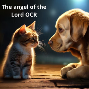 José Had to Move to Judea