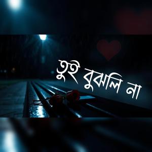 তুই বুঝলি না