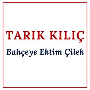 Bahçeye Ektim Çilek