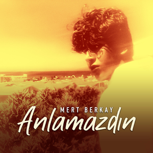 Anlamazdın