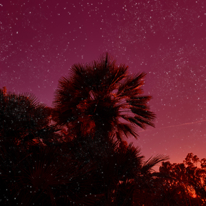 Metamorphosis (River)