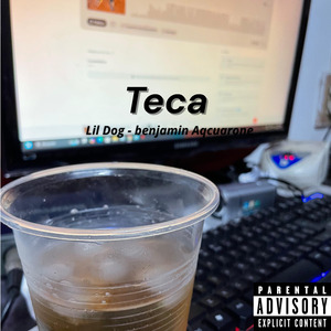 Teca