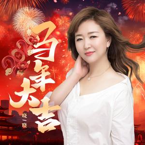 2026马年大吉（DJ猎人版）