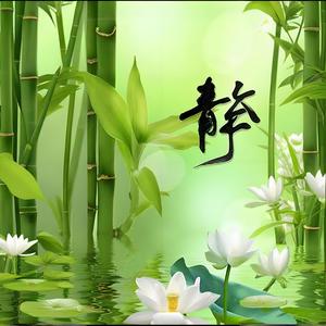 肝胆经 音疗音乐 古琴