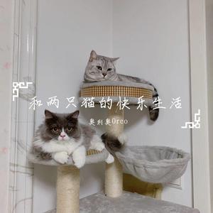 是你想成为的大人吗（女版）