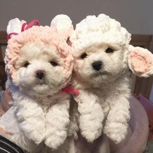 爱着爱着就永远（翻自 田馥甄 (Hebe Tien)）