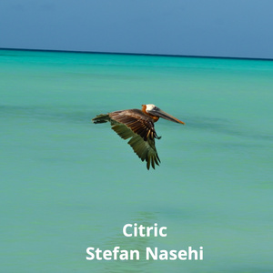 Citric