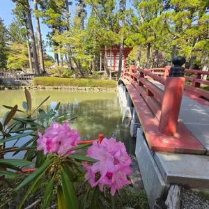 春光の舞(World Peace Song)