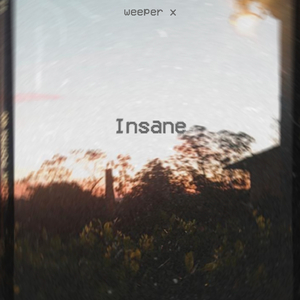 Insane