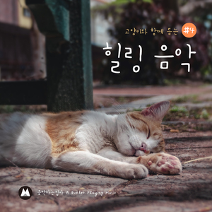 혼자 있는 냥이