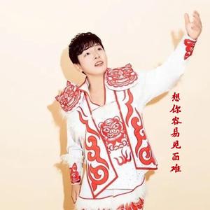 想你容易见面难 (DJ)