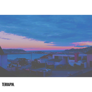 Terrapin