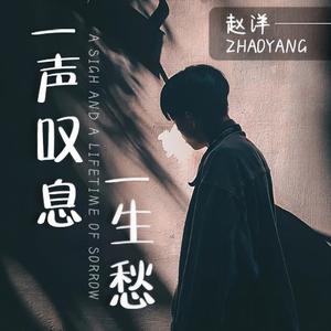 一声叹息一生愁 (DJ默涵版)