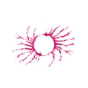 ME LO DICEVANO (feat. Fiore Akamono)