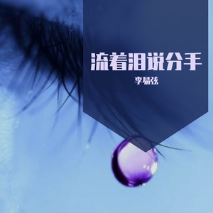 流着泪说分手