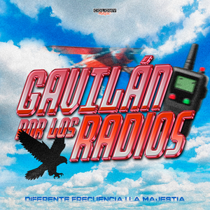 Gavilán Por Los Radios