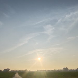 元路有姓.wav