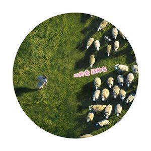 心所爱，路所在