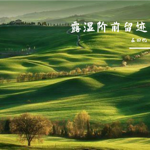 柿染霜红