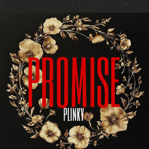 Promise
