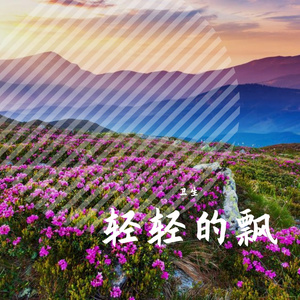 轻轻飘