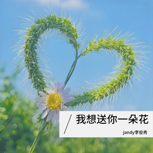 我想送你一朵花_jandy李俊秀