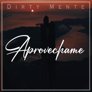 Aprovechame (feat. Rade Svk)