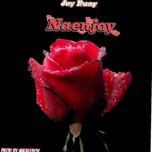 NAENJOY