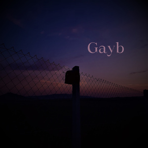 Gayb