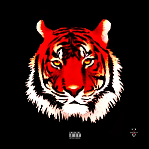 Sumthn (feat. Conan & Jaquae)