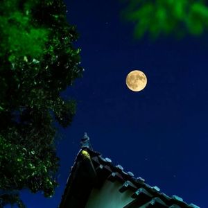 月下梦（Moondream）