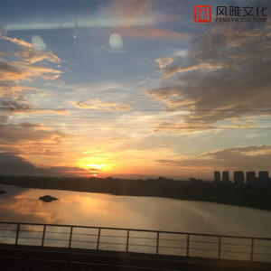 躺在你怀里的猫咪(钢琴)