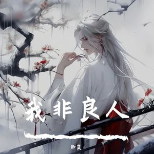 我非良人 (伴奏)
