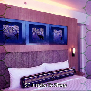 Conservation