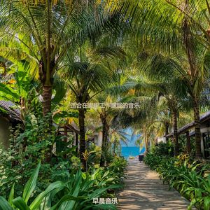 适合办公事务器乐音乐