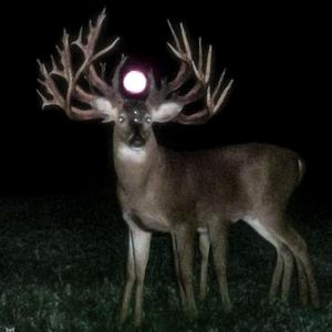 I Wanna Be Yours (slowed)