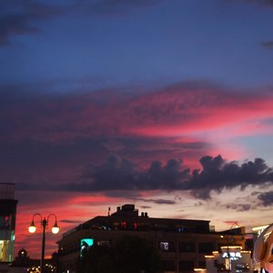 徐秉龙-鸽子.wav（蓝色系 remix）