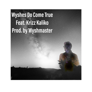 Harder They Fall (feat. Krizz Kaliko)