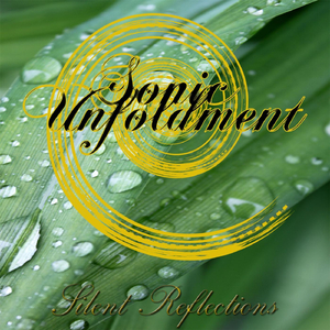 Silent Reflections