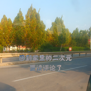 回到家里的二次元