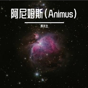 阿尼姆斯（Animus）