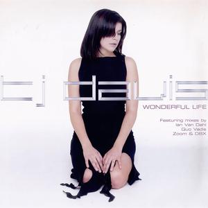 Wonderful Life (Silverstone Remix)