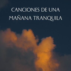 Desierto De Neón