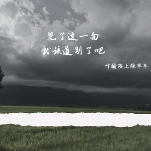 见了这一面就该道别了吧