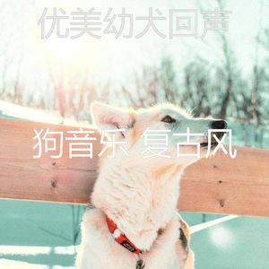 优美训练犬器乐