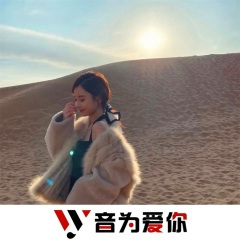 十二月的风铃 (DJ版)